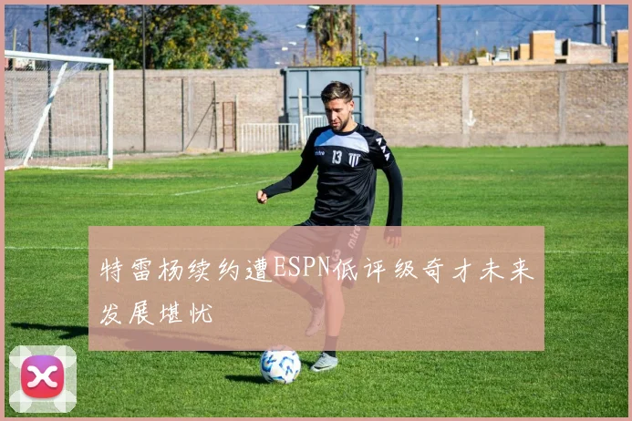 特雷杨续约遭ESPN低评级奇才未来发展堪忧